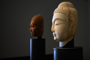 STUDiO2401.COM
